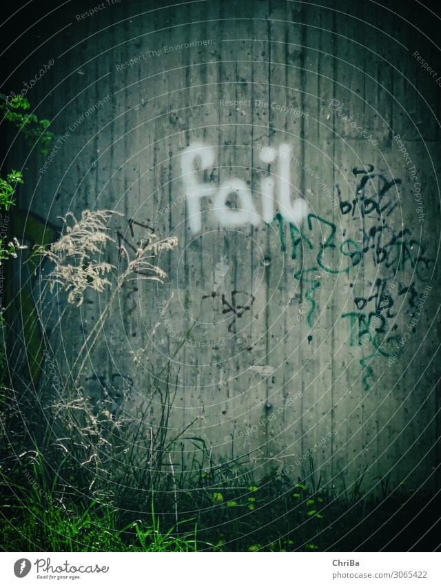 fail graffiti Lifestyle Unemployment Art Painting and drawing (object) Youth culture Subculture Plant Bridge Tunnel Wall (barrier) Wall (building) Characters