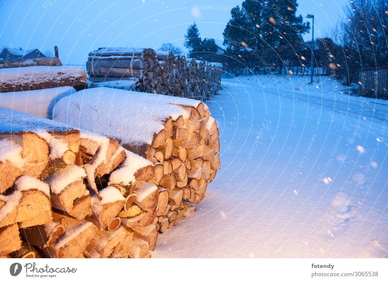 Firewood near a road illuminated Winter Snow Mountain Agriculture Forestry Construction site Environment Nature Landscape Weather Bad weather Ice Frost Snowfall