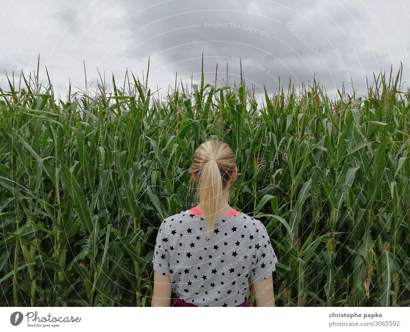 Blonde woman standing in front of cornfield Feminine Stand Maize field Woman braid Nature natural Field Agriculture Organic farming Growth Colour photo