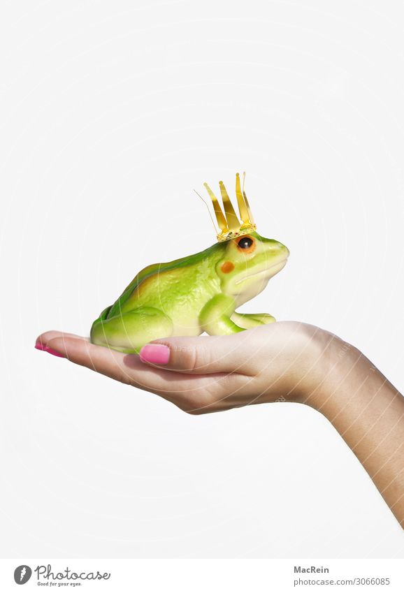 Frog king on the hand Happy Girl Woman Adults Hand 1 Human being 18 - 30 years Youth (Young adults) Animal Kissing Love Green Emotions Desire Frog Prince