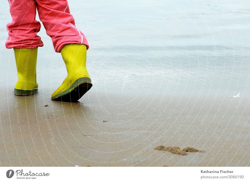 Rubber boots on the beach Nature Sand Water Spring Autumn Beach North Sea Stand Blue Yellow Green Pink Tracksuit bottoms Waves Ocean To go for a walk