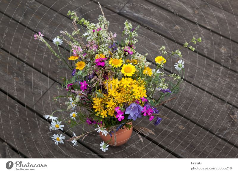 Summer meadow bouquet plants flowers Bouquet meadow flowers motley boards weathered surface," Vase Nature
