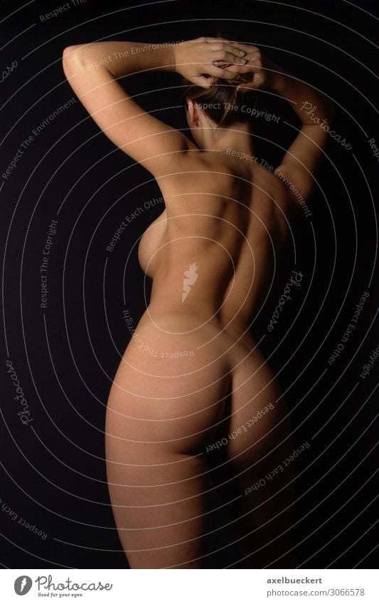 Free Photo  Beautiful sexy naked woman's body