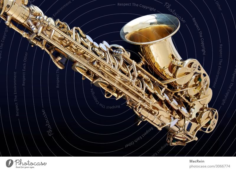 sax Art Artist Shows Music Concert Orchestra Listen to music Saxophone Instrumental music Musical instrument Wind instrument Metal Gold Brass Colour photo