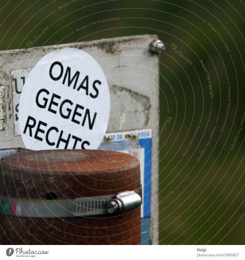 Sticker "Omas gegen Rechts" on a metal plate Pole Characters Signs and labeling Fight Exceptional Sharp-edged Uniqueness Feminine Brown Gray Green White Force