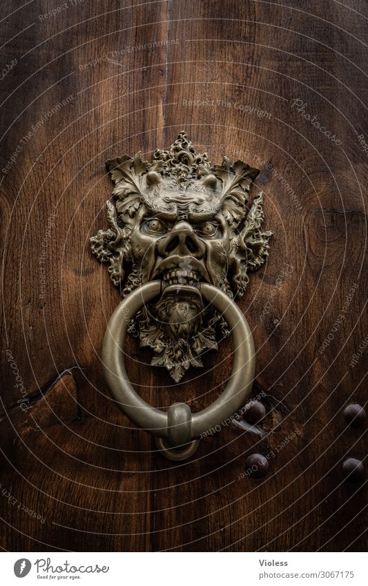 ...in. Door Aggression Threat Knocker Circle Face Devil Metal fitting Medieval times Gate Detail