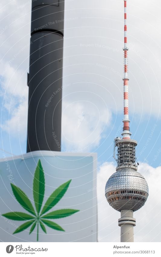 Legalize Berlin ! Downtown Berlin Capital city Television tower Berlin TV Tower Smoking Vacation & Travel Aggravation Experience Joy Friendship Mysterious