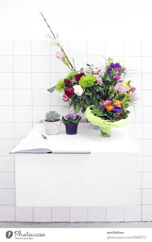 Flowers for the artist Lifestyle Style Interior design Decoration Art Artist Exhibition Event Wall (barrier) Wall (building) Atelier Stationery Paper