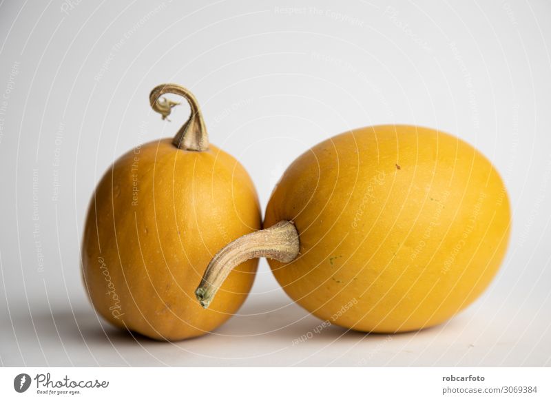 perfect pumpkins on white background Vegetable Decoration Thanksgiving Hallowe'en Plant Autumn Fresh White Pumpkin orange food Mature isolated seasonal Single