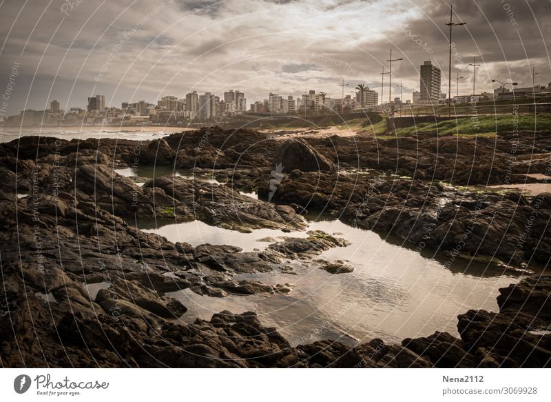 Farsightedness | Salvador de Bahia Environment Water Sky Clouds Storm clouds Coast Beach Bay Town Port City Gigantic South America Skyline Atlantic Ocean Stony