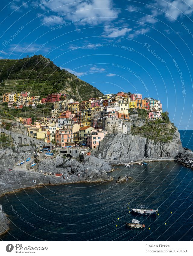The small village Manarola on the Cinque Terre italy Europe Village Fishing village House (Residential Structure) Harbour Historic Colour photo Multicoloured