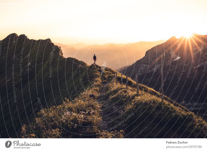 Sunset on the pointer saddle Mountain Hiking Nature Landscape Cloudless sky Sunrise Sunlight Alps Gigantic Happy Allgäu AllgäuerHigh Alps Mountaineering Germany