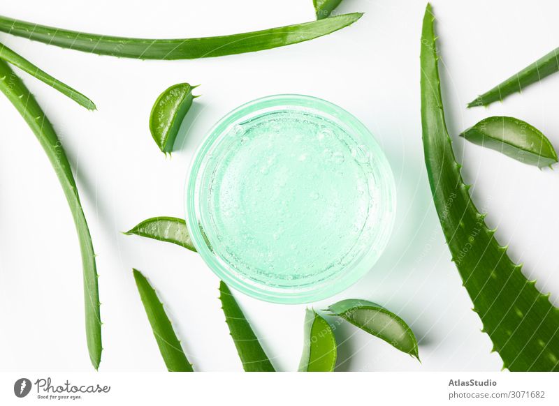 Composition with natural treatment accessories on white background, closeup. Aloe vera alternative gel foliage nature medicine leaf ecology beauty space summer