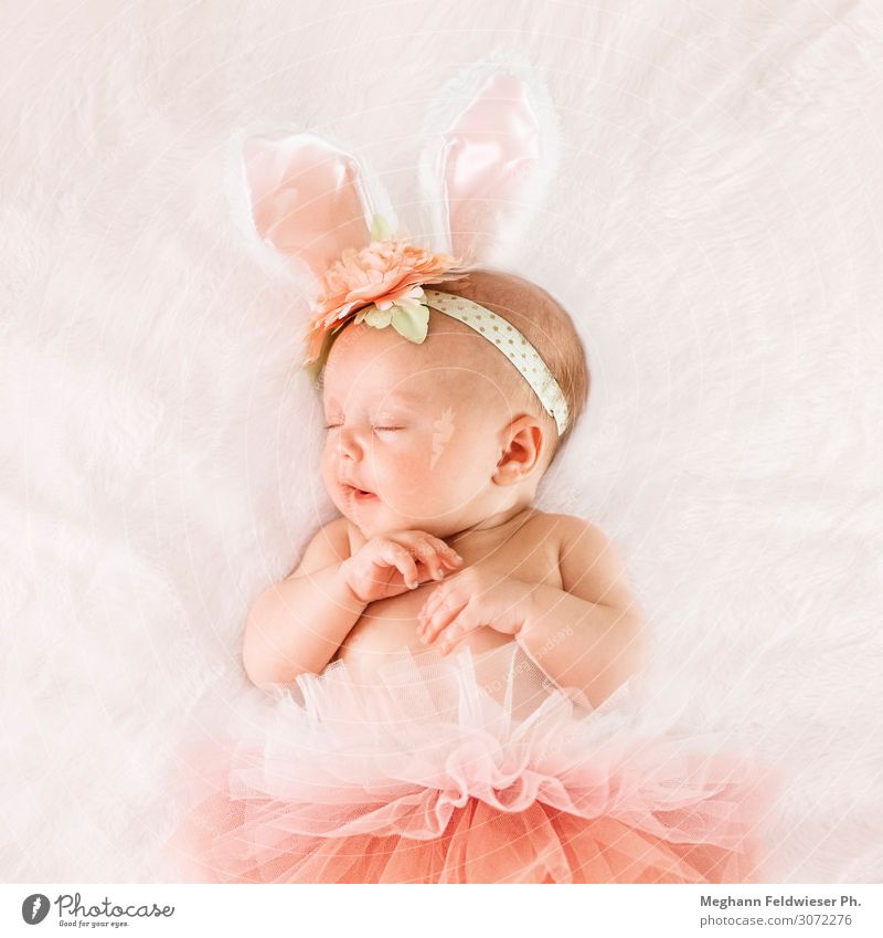 Baby bunny Calm Infancy 0 - 12 months Cute Pink Safety (feeling of) Beautiful Grateful Serene Beginning Inspiration Love Sleeping Beauty Colour photo