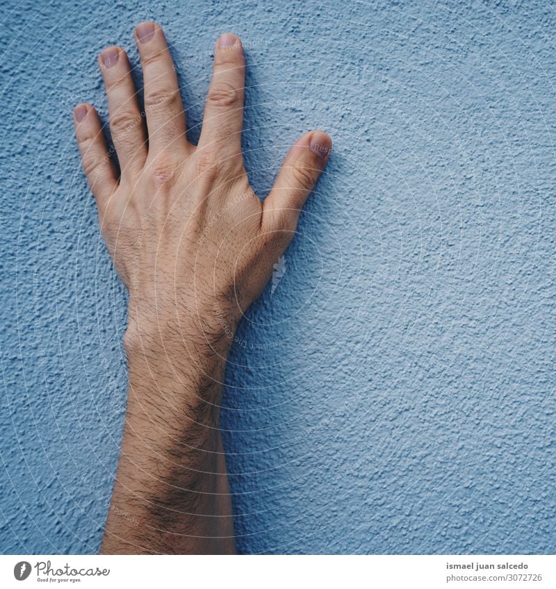 man hand on the blue wall in the street Hand Wall (building) Blue Fingers Palm of the hand Body wrist Arm Skin Human being Gesture Conceptual design