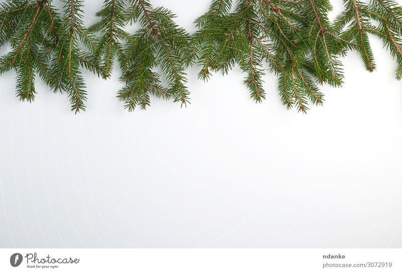 Frame of Christmas tree branches and decorations. - a Royalty Free Stock  Photo from Photocase