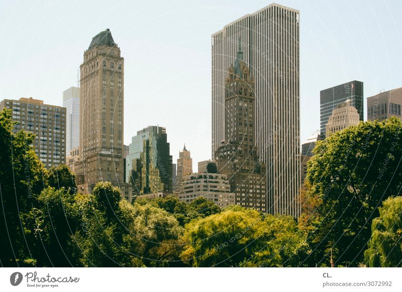 central park Environment Nature Cloudless sky Summer Beautiful weather Tree Park New York City Manhattan Central Park USA Town Downtown Deserted High-rise