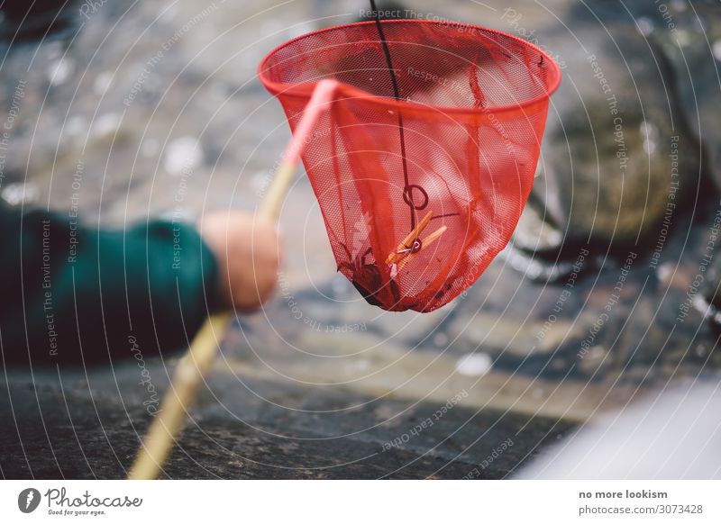 caught by surprise Fishing (Angle) Landing net Coast Lakeside Bay North Sea Baltic Sea Catch To hold on Infancy Nature Sweden Fishing quota Ocean