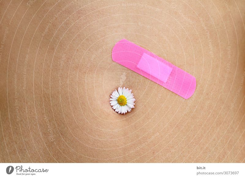 Skin thing l plaster or flower, which heals faster? Healthy Alternative medicine Nursing Illness Wellness Life Harmonious Well-being Contentment Senses