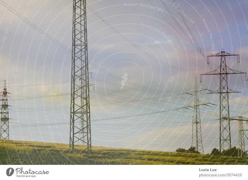 Summer light, electric Energy industry Environment Nature Landscape Sky Clouds Sun Sunlight Beautiful weather Grass Field Outskirts Deserted Electricity pylon