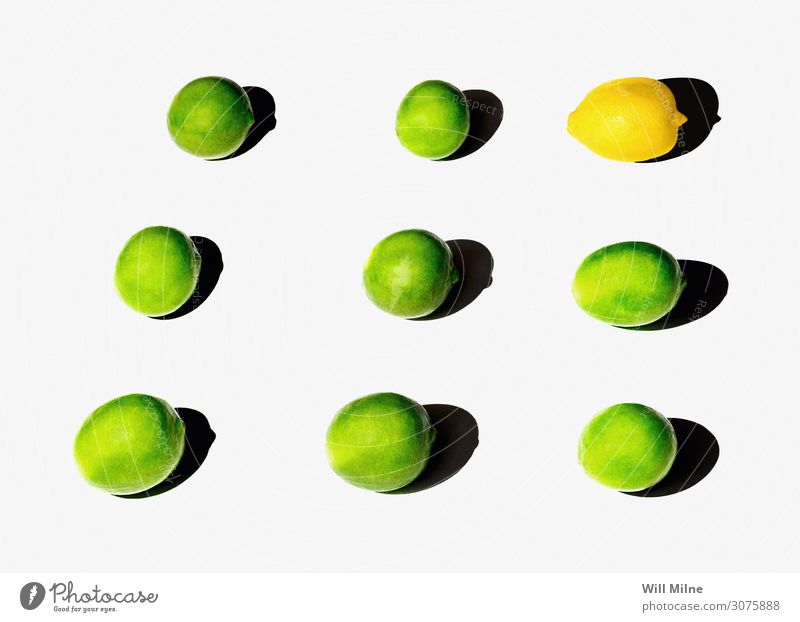 Limes and a Lemon Citrus fruits Green Yellow Arranged Grid Shadow Minimal Summer Fruit Food Healthy Eating Dish Food photograph Colour Multicoloured