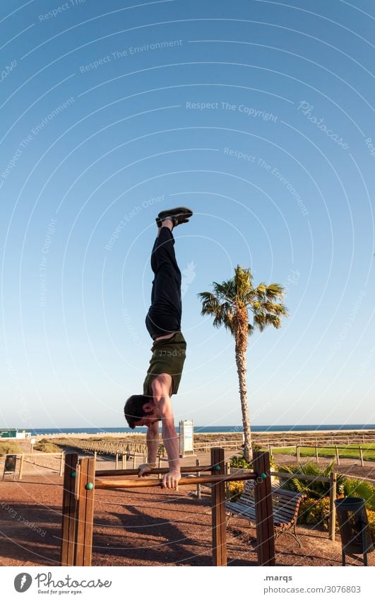 Handstand on the beach Acrobatics Gymnastics Sports Force Athletic Fitness Cool (slang) Sportsperson Balance Movement Cloudless sky Palm tree ingots Beach fun