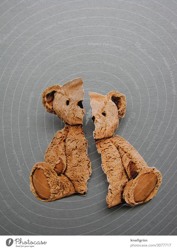 Broken 2024 teddy bear