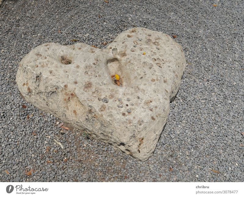 Heart of stone Stone Love Gray Tabgha Matrimony Subdued colour Exterior shot