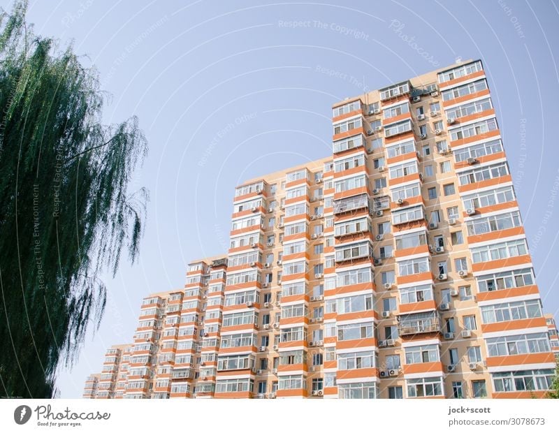 Beautiful living +green Cloudless sky Tree Beijing Architecture Tower block Facade Authentic Sharp-edged Retro Protection Style Environment Building Gradation