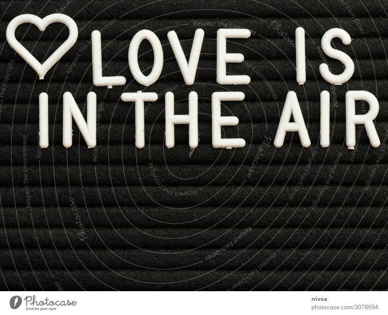 Love is in the air lettering Champagne Couple Partner Life Characters Kissing Together Happy Infinity Kitsch Black White Emotions Moody Joie de vivre (Vitality)