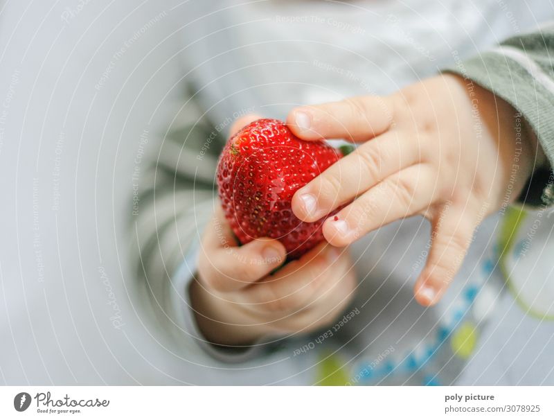 Baby holds strawberry - Detail Lifestyle Healthy Healthy Eating Well-being Contentment Summer Summer vacation Child Infancy Youth (Young adults) Hand Fingers