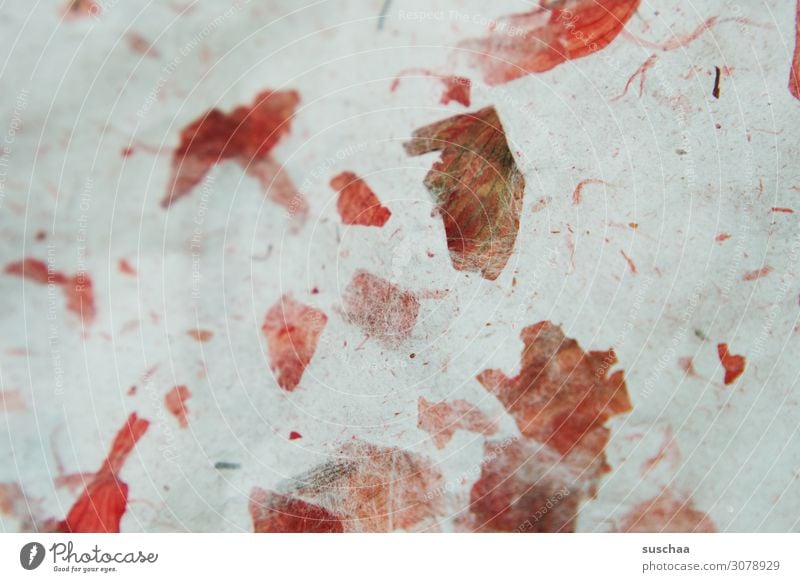 crumbs Paper Onion skins Design paper Decoration Gift wrapping Close-up Grunge Red blotchy in pieces Creative paper