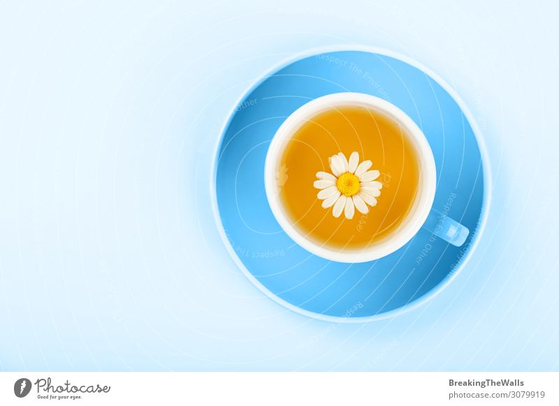 Blue cup of herbal tea with camomile Beverage Hot drink Tea Mug Flower Paper Natural Above Yellow Colour oolong Saucer Chamomile background elevated Top clear