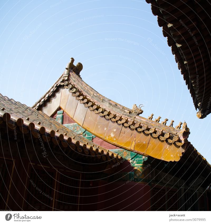 Dragons and lions Work of art World heritage Arts and crafts Cinese architecture Cloudless sky Palace Pagodal roof Tourist Attraction Forbidden city Decoration
