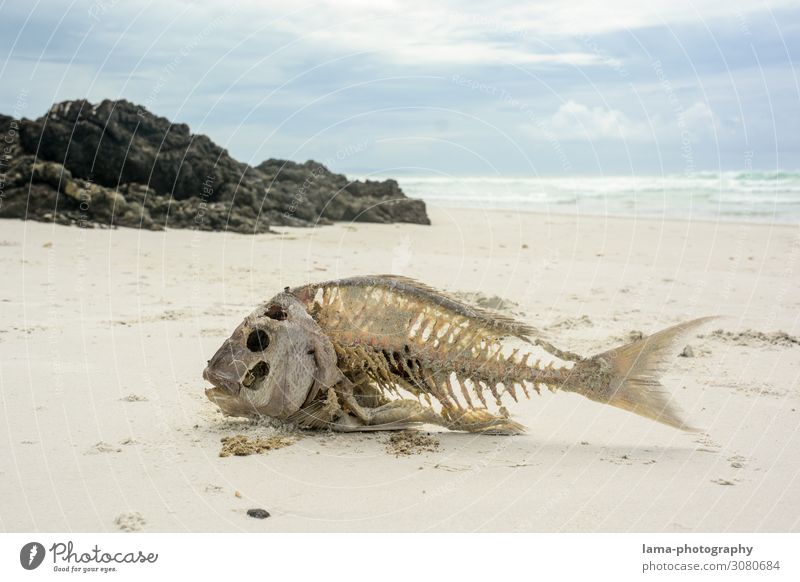 Hard Tide Times A Royalty Free Stock Photo From Photocase