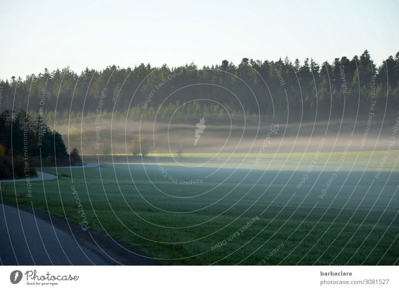 on the road again on a foggy fall morning. Nature Landscape Sky Autumn Fog Meadow Forest Street Cold Moody Beginning Horizon Climate Lanes & trails Colour photo