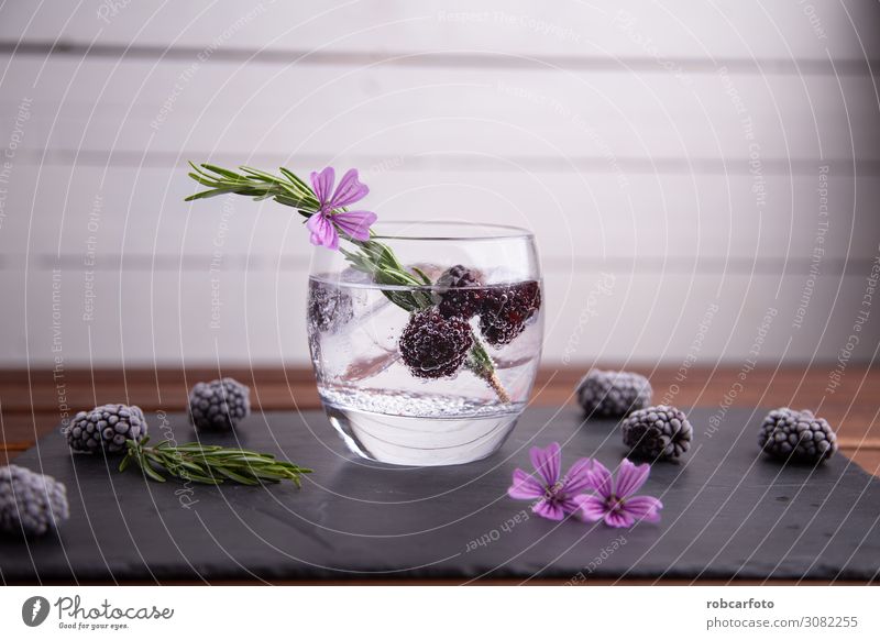 gin and tonic Fruit Beverage Alcoholic drinks Luxury Elegant Summer Feasts & Celebrations Green Pink Red Black White Gin Blackberry isolated Cocktail glass ice