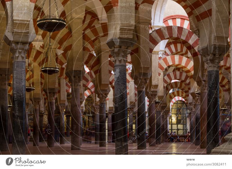 Columns in the World Heritage Mezquita in Cordoba Church Dome Palace Castle Religion and faith Andalusia columns holiday Moshe spain arabesque building
