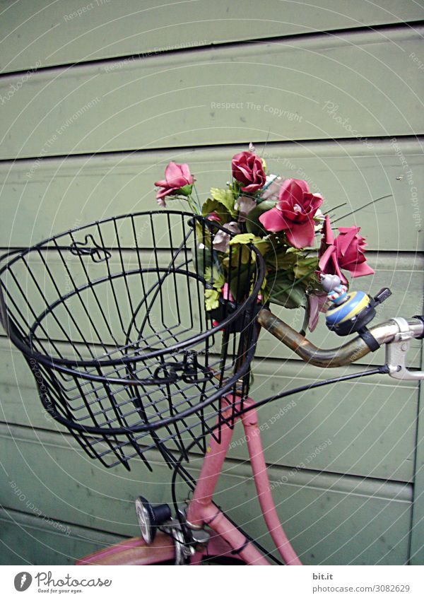 Pink bicycle with flowers and basket, on a wooden wall. Wall (barrier) Wall (building) Transport Means of transport Cycling Street Joy Happy Happiness