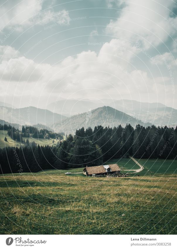 201809 Mountains #2 Nature Animal Sky Clouds Sunlight Summer Beautiful weather Grass Forest Alps Multicoloured Calm Allgäu Alpine hut Farm Vantage point Fog