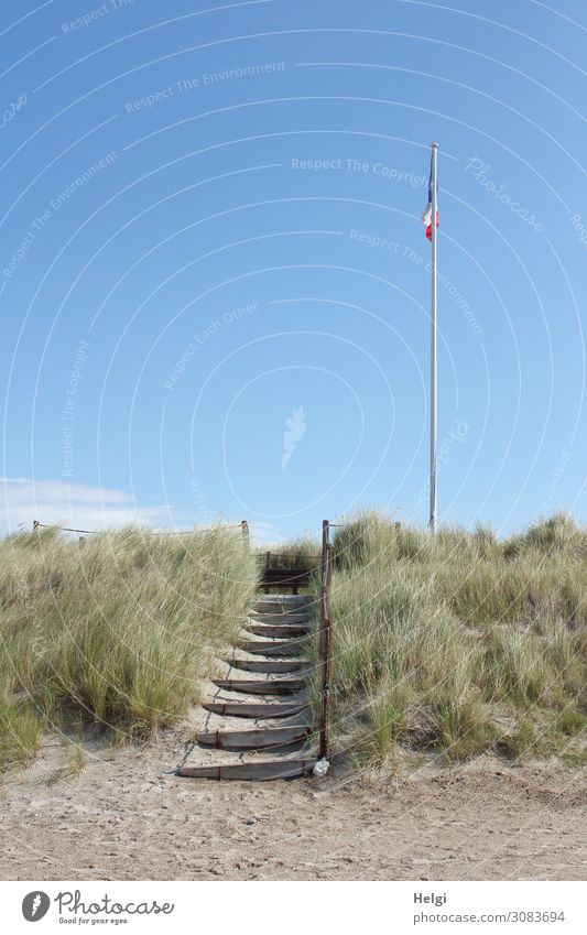 a wooden staircase with railing leads from the sandy beach to a dune with dune grass and flagpole Environment Nature Landscape Plant Sand Sky Summer