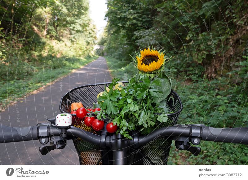 modern transport - red tomatoes, green parsley and yellow sunflower are in a bike basket bicycle basket Vegetable Herbs and spices Bicycle handlebars Tomato