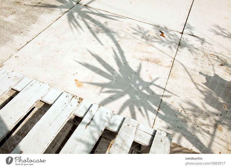 Shadows of palm trees Palm tree Light Vacation & Travel Exotic Stage Palett Structures and shapes Platform aschersleben Detail Historic Small Town Sadness