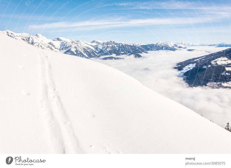 tracks Nature Landscape Beautiful weather Ice Frost Snow Alps Mountain Canyon Ennstal Ennstaler Alps Exceptional Together Infinity Cold Loneliness Sea of fog