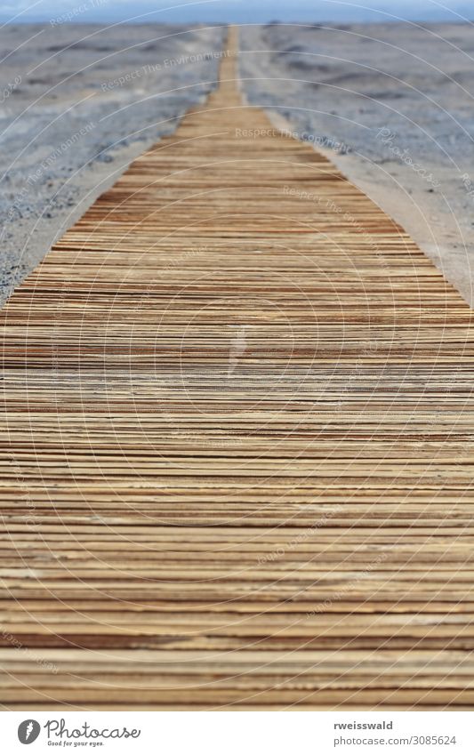 Wooden walkway on gravelly sand desert-MIran-Xinjiang-China-0478 Leisure and hobbies Vacation & Travel Tourism Trip Adventure Far-off places Freedom Sightseeing