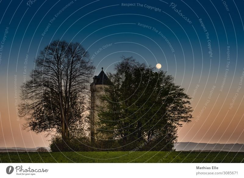 Water tower in the evening Living or residing House (Residential Structure) Landscape Plant Sky Night sky Horizon Full  moon Spring Beautiful weather Tree