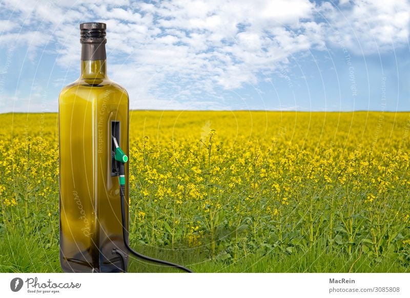 Renewable Energy Grain Bottle Agriculture Forestry Energy industry Renewable energy Nature Plant Field Sustainability Yellow Crisis Environmental protection