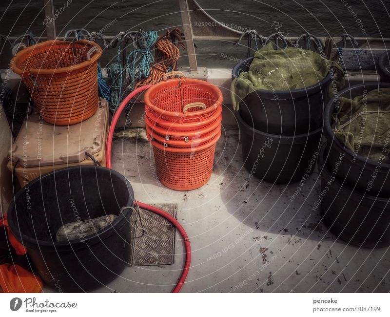 everything in the bucket Coast North Sea Navigation Fishing boat Authentic Expectation Complex Fishery Basket Bucket Containers and vessels Deck Denmark