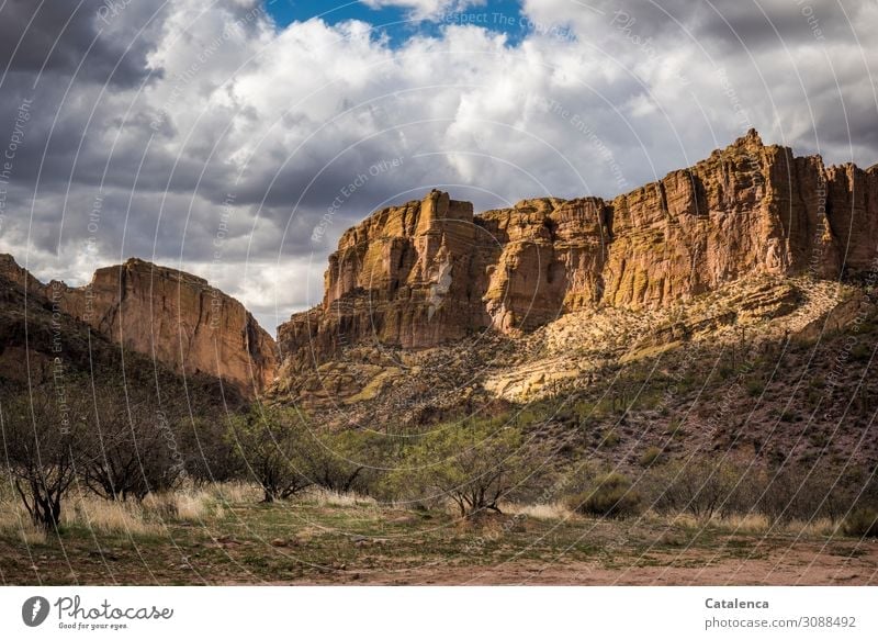 Mountain formation with trees in foreground, clouds are in the sky Far-off places Freedom Hiking Nature Landscape Plant Sand Sky Clouds Winter Beautiful weather