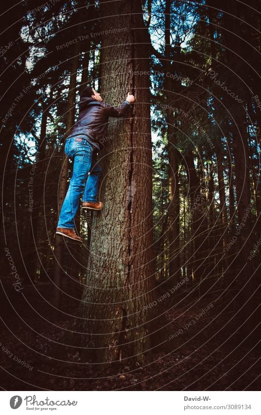 Man climbing tree Climbing monkey climber Tall Force willpower strength supermajor superpower creatively spiderman To hold on Upward Nature Manly Creativity Pro